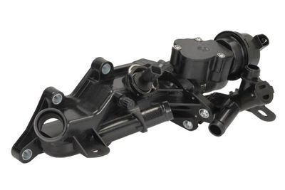 Thermostat, coolant THERMOTEC D2R023TT