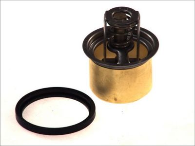 Thermostat, coolant THERMOTEC D2RV001TT