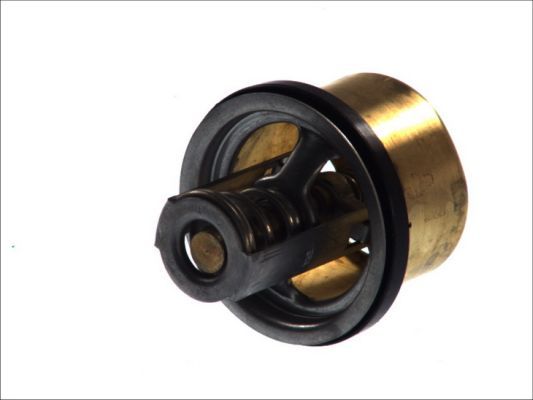 THERMOTEC D2RV002TT Thermostat, coolant