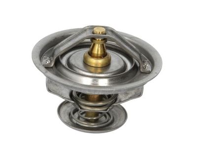 Thermostat, coolant THERMOTEC D2RV003TT
