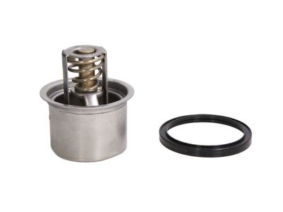 Thermostat, coolant THERMOTEC D2RV004TT
