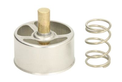 Thermostat, coolant THERMOTEC D2RV005TT