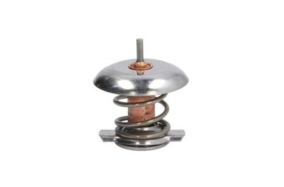 Thermostat, coolant THERMOTEC D2V001TT