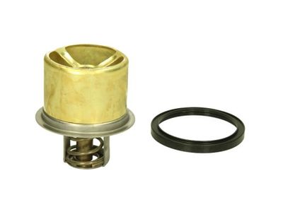 Thermostat, coolant THERMOTEC D2VO004TT