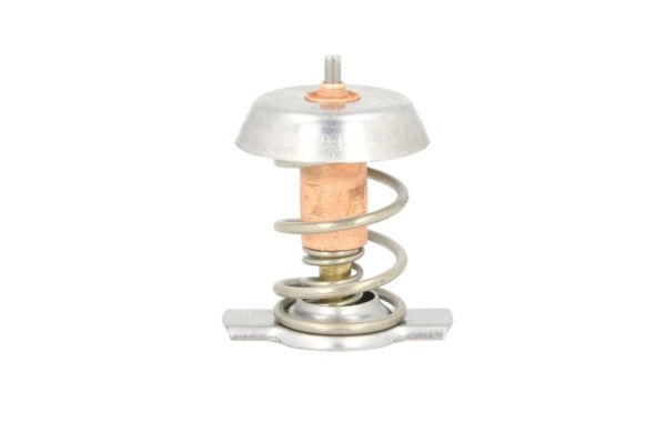 THERMOTEC D2X002TT Thermostat, coolant