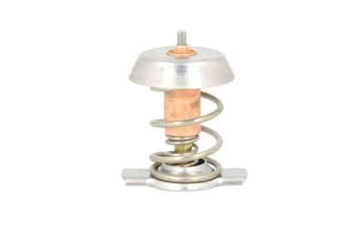 Thermostat, coolant THERMOTEC D2X002TT