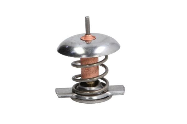 THERMOTEC D2X005TT Thermostat, coolant