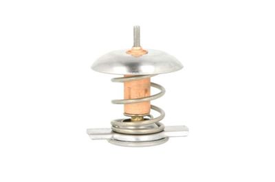 Thermostat, coolant THERMOTEC D2X006TT