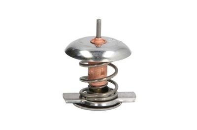 Thermostat, coolant THERMOTEC D2Y002TT