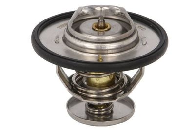 Thermostat, coolant THERMOTEC D2Y003TT
