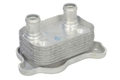 Oil Cooler, engine oil THERMOTEC D4B029TT
