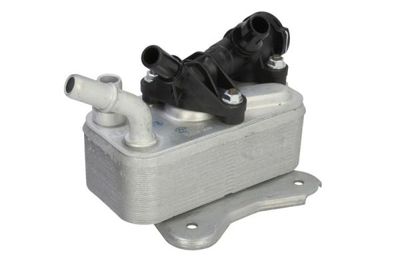 Oil Cooler, engine oil THERMOTEC D4B033TT