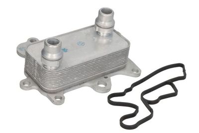 Oil Cooler, engine oil THERMOTEC D4F009TT