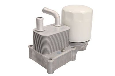 Oil Cooler, engine oil THERMOTEC D4G016TT