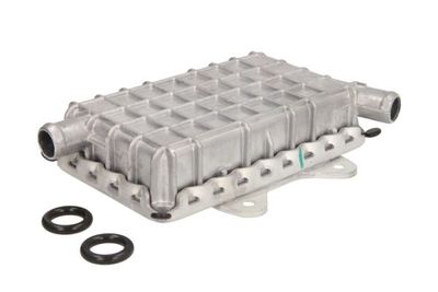 Oil Cooler, engine oil THERMOTEC D4M001TT