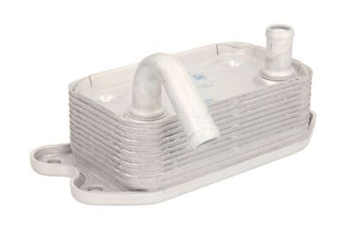 Oil Cooler, engine oil THERMOTEC D4V002TT