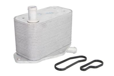 Oil Cooler, engine oil THERMOTEC D4V010TT