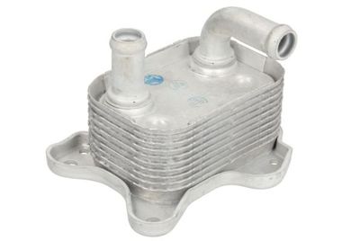 Oil Cooler, engine oil THERMOTEC D4X015TT
