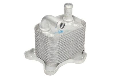 Oil Cooler, automatic transmission THERMOTEC D4X020TT