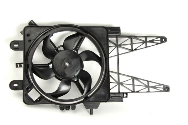 THERMOTEC D8F006TT Electric Motor, radiator fan