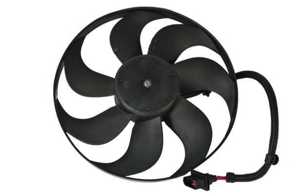 THERMOTEC D8W006TT Electric Motor, radiator fan