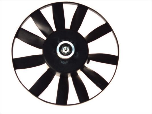 THERMOTEC D8W012TT Electric Motor, radiator fan