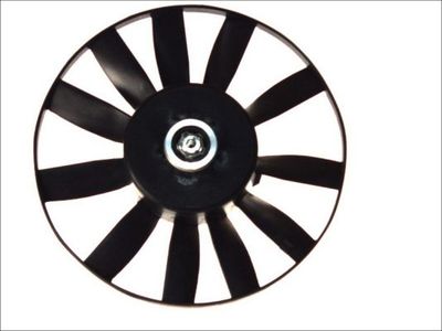 Electric Motor, radiator fan THERMOTEC D8W012TT