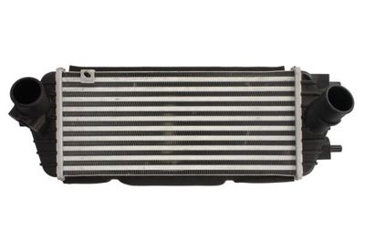 Charge Air Cooler THERMOTEC DA03005TT