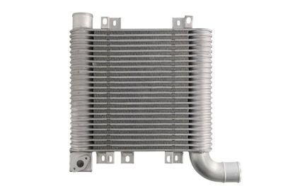 Charge Air Cooler THERMOTEC DA05003TT