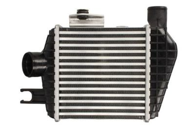 Charge Air Cooler THERMOTEC DA05008TT