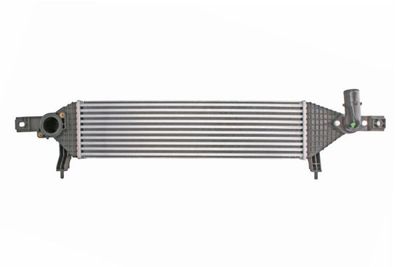 Charge Air Cooler THERMOTEC DA1004TT