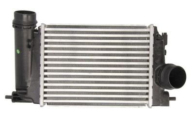 Charge Air Cooler THERMOTEC DA1006TT