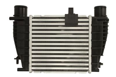 Charge Air Cooler THERMOTEC DA1008TT