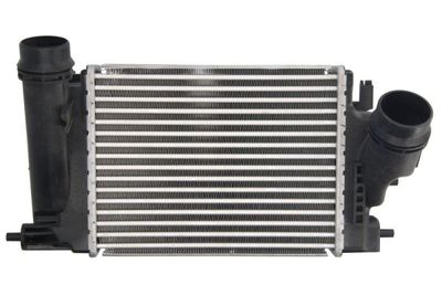 Charge Air Cooler THERMOTEC DA1009TT