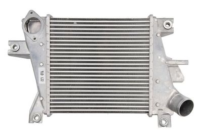 Charge Air Cooler THERMOTEC DA1011TT