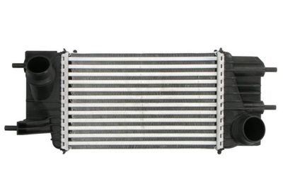 Charge Air Cooler THERMOTEC DA1013TT