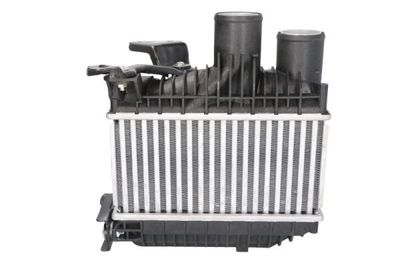 Charge Air Cooler THERMOTEC DA2001TT