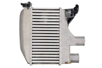 Charge Air Cooler THERMOTEC DA2003TT