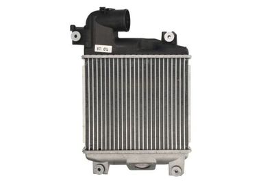 Charge Air Cooler THERMOTEC DA2004TT