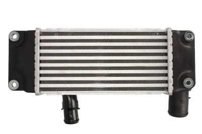 Charge Air Cooler THERMOTEC DA2005TT