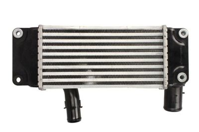 Charge Air Cooler THERMOTEC DA2006TT