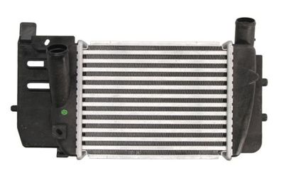 Charge Air Cooler THERMOTEC DA2008TT