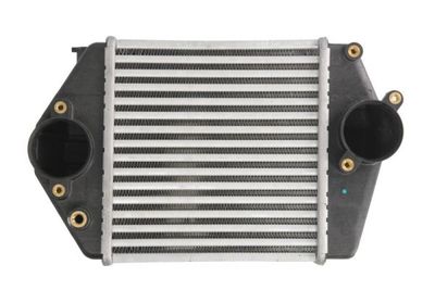 Charge Air Cooler THERMOTEC DA3002TT
