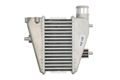 Charge Air Cooler THERMOTEC DA4001TT