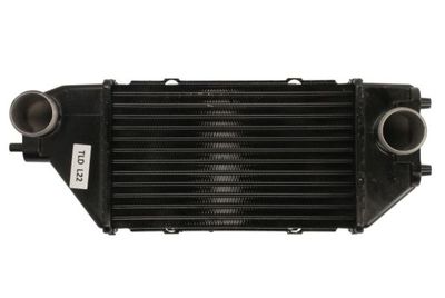 Charge Air Cooler THERMOTEC DA4002TT