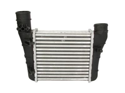 Charge Air Cooler THERMOTEC DAA003TT