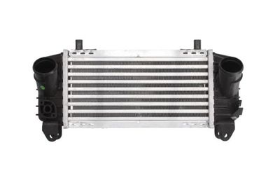 Charge Air Cooler THERMOTEC DAA007TT