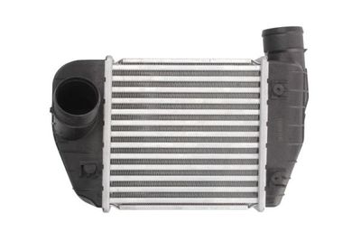 Charge Air Cooler THERMOTEC DAA013TT