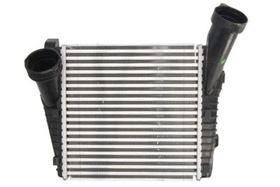 Charge Air Cooler THERMOTEC DAA020TT