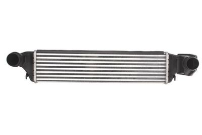 Charge Air Cooler THERMOTEC DAB004TT
